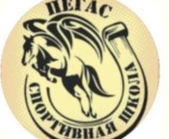 Спортивная школа «Пегас»